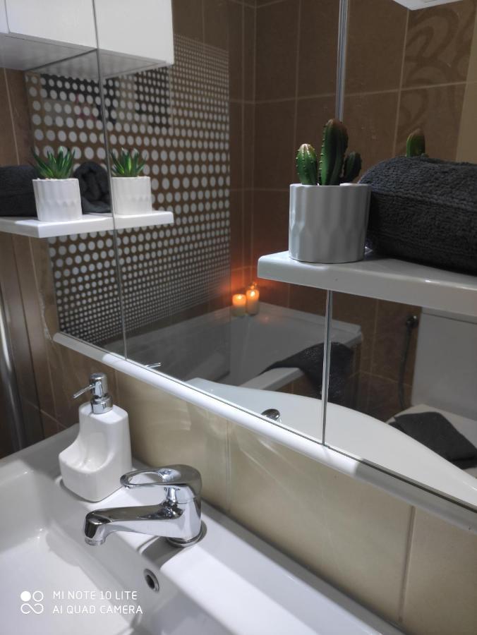 Kuca Vila Idila Vrsac Ngoại thất bức ảnh