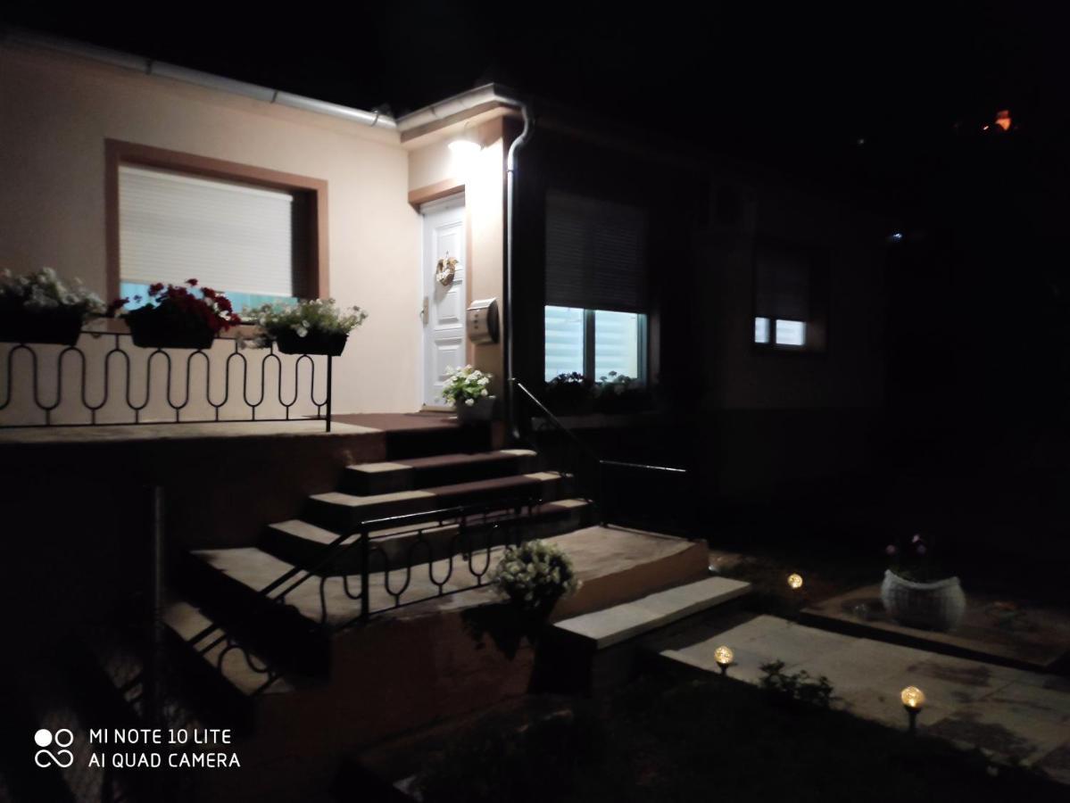 Kuca Vila Idila Vrsac Ngoại thất bức ảnh
