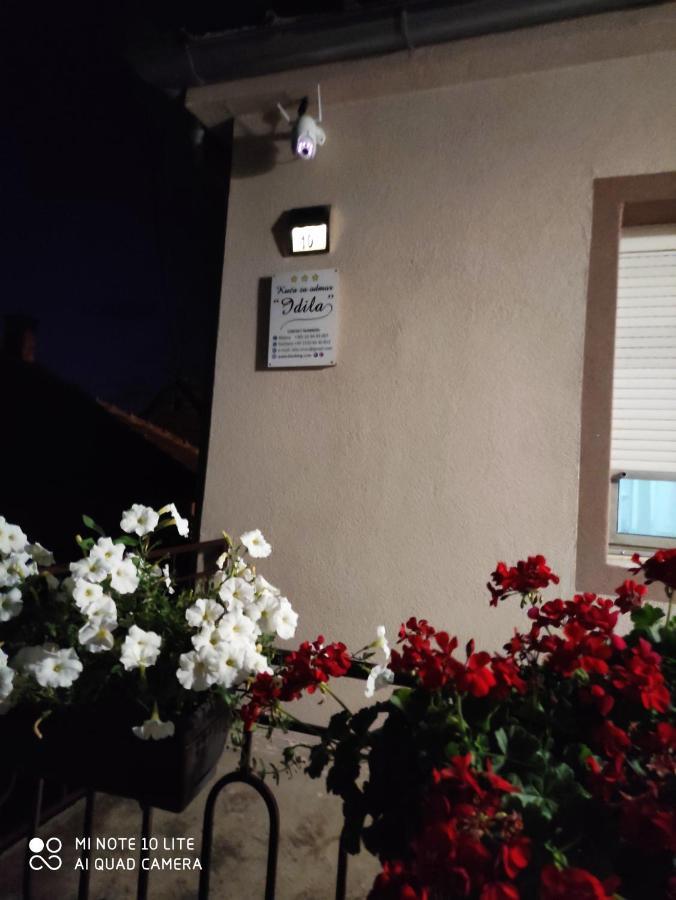Kuca Vila Idila Vrsac Ngoại thất bức ảnh