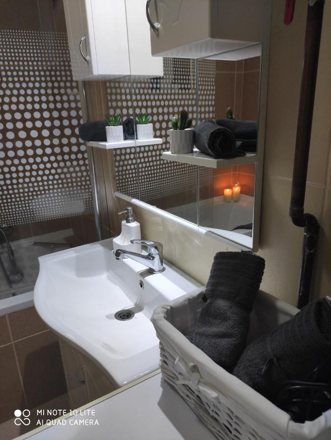 Kuca Vila Idila Vrsac Ngoại thất bức ảnh