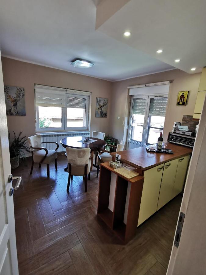 Kuca Vila Idila Vrsac Ngoại thất bức ảnh